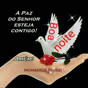 Morena Rdc