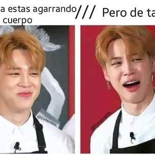 Josefina 12342Xd