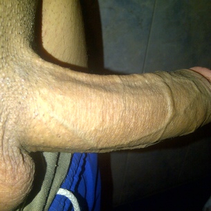 Latino19Cm